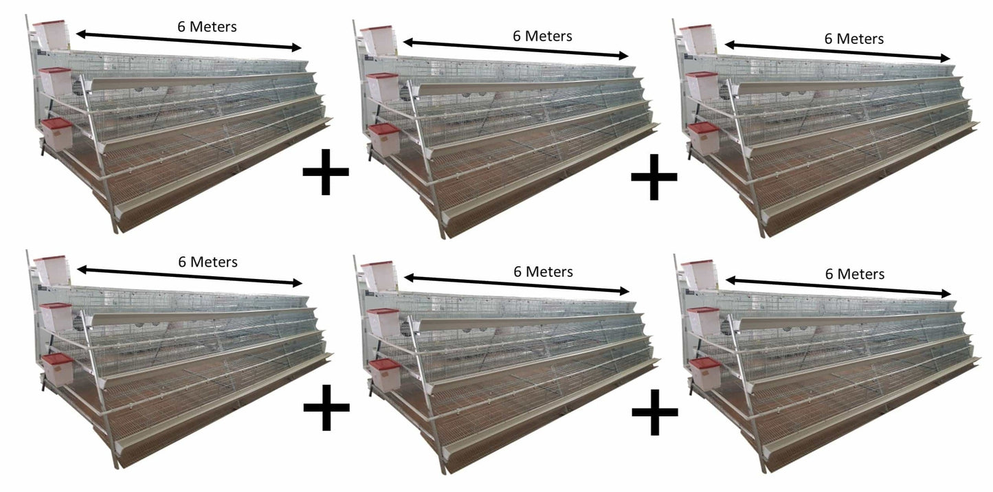 2160 Commercial Egg Layer Cage