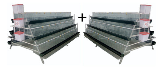 Laying Cage for 384 Birds - Elite Poultry Equipment South Africa