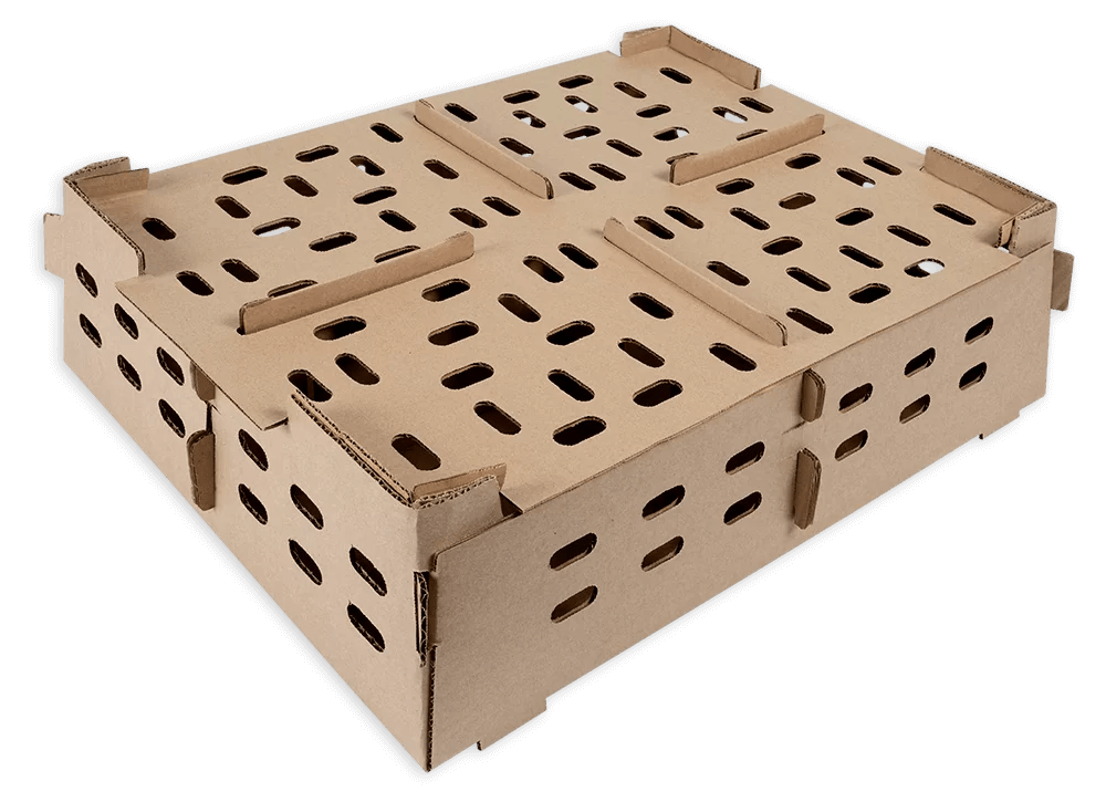 Day Old Chick Transport Box (Carton) - Pack of 30 boxes