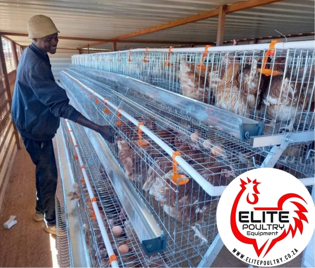 360 Bird Egg Laying Cage - Elite Poultry Equipment