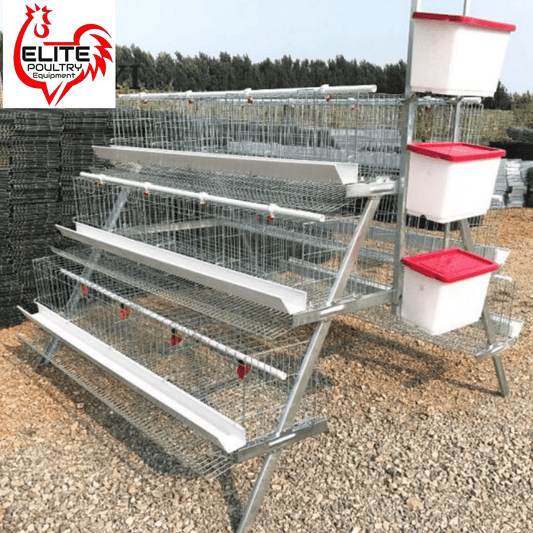 SureLay™ 96 Bird Egg Laying Cage