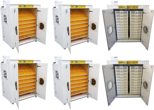 12000 egg hatchery by Surehatch Incubators