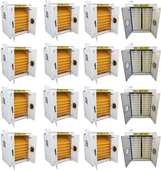 egg hatchery commercial scale