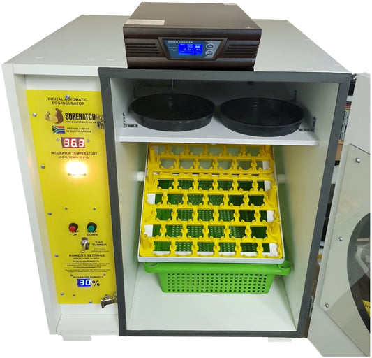 60 Egg Electricity or Battery Powered Digital Egg Incubator