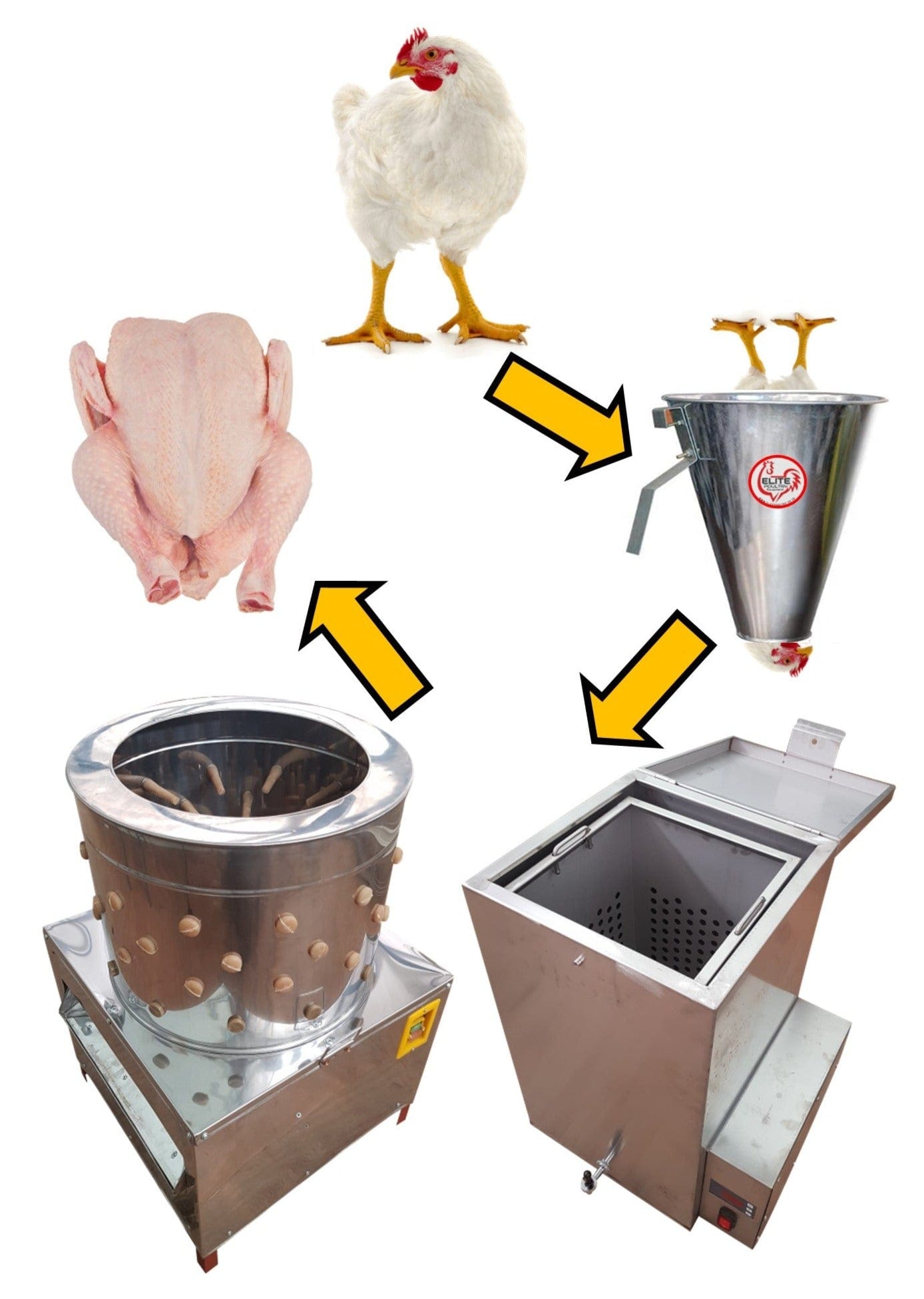 Complete Poultry Processing Package