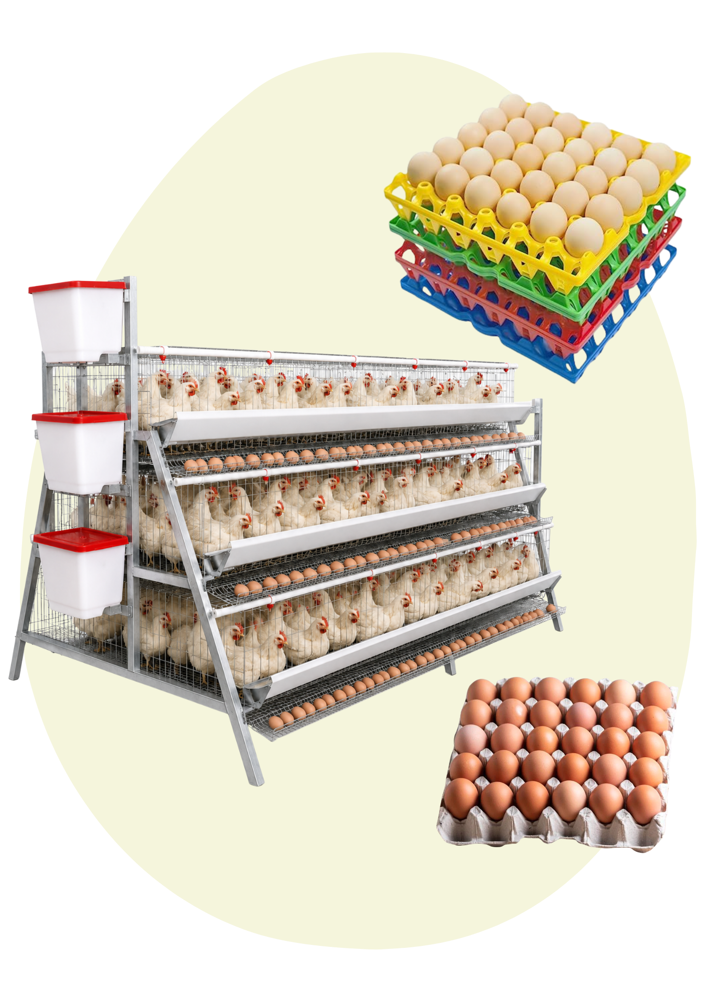 Egg Laying Cages