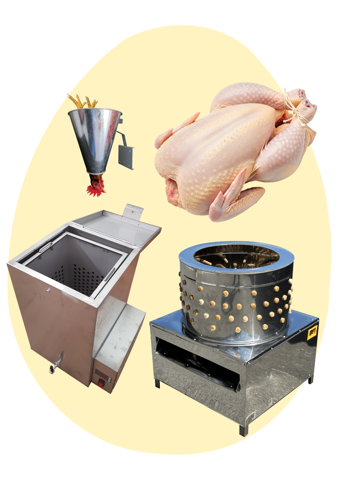 Pluckers, Scalder, Processing Equipment