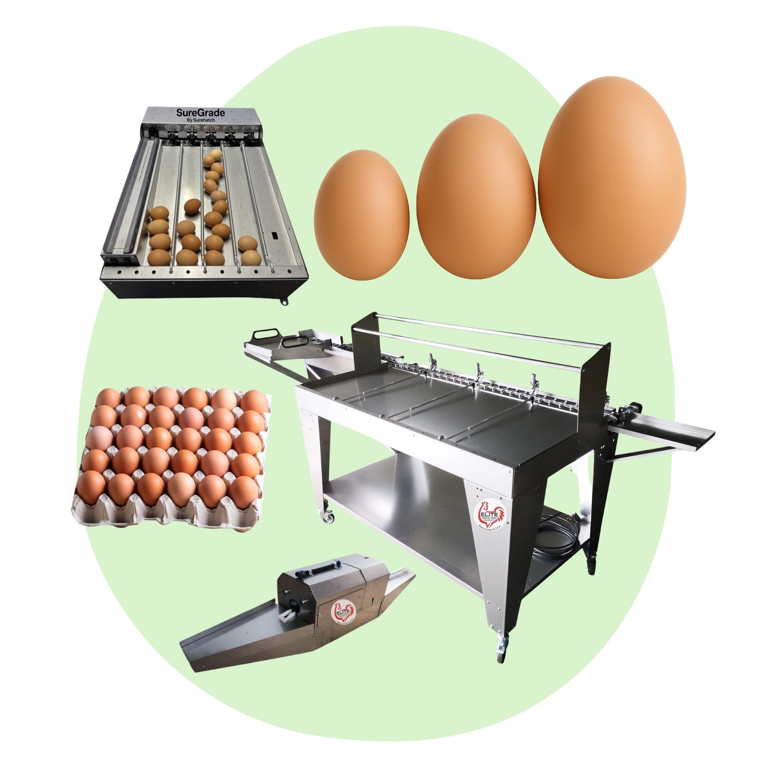 Egg Graders and Washers