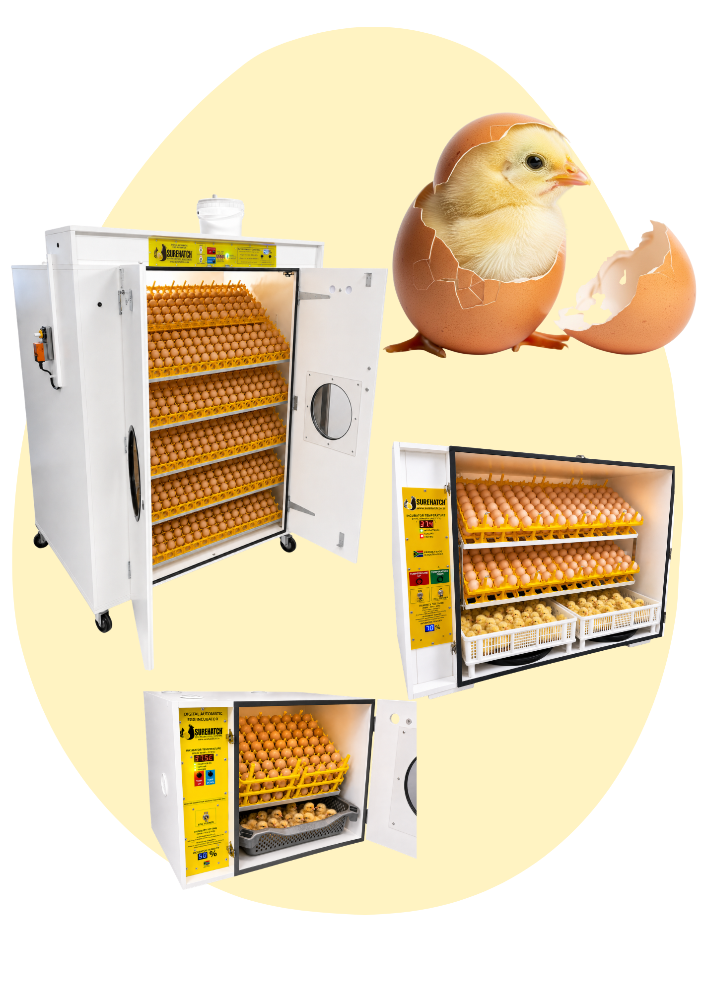 SureLay™ Egg Laying Cages by Surehatch – Surehatch Poultry Incubators ...