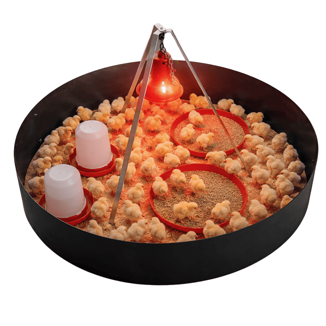 SureGrow™ - Poultry Brooders & Heaters – Surehatch Poultry Incubators ...