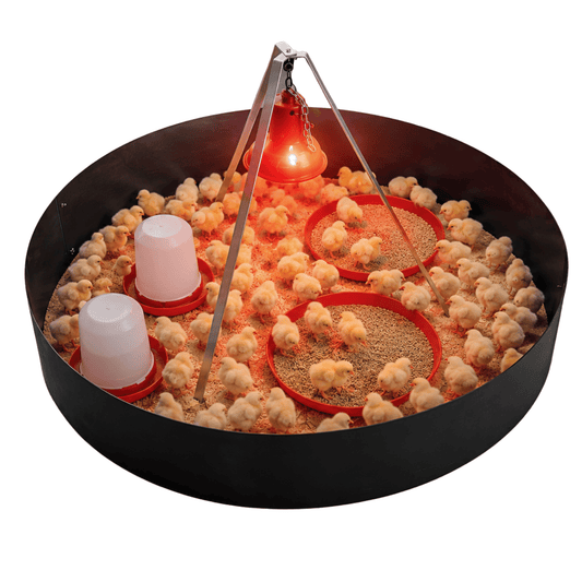 I-100 Chick Brooder - I-Infrared Electric Brooder