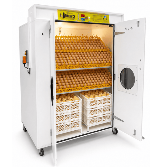 2000 I-Egg Incubator kanye ne-Hatcher Combo - Imodeli Yedijithali Ezenzakalelayo Ephelele SH2000 SuperHatch©