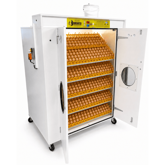 I-2160 Egg Automatic Setter Incubator - Imodeli SH2160