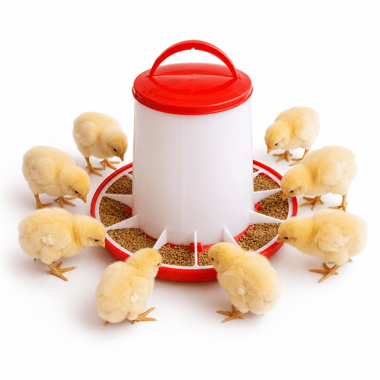 I-Bulk Chick Feeder 4KG Umthamo