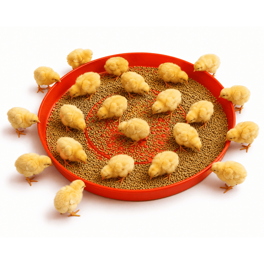 I-Scratch Feeder Pan yamatshwele