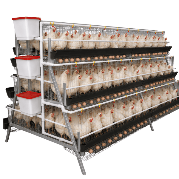SureLay™ 192 Bird Laying Cage by Surehatch – Surehatch Poultry ...