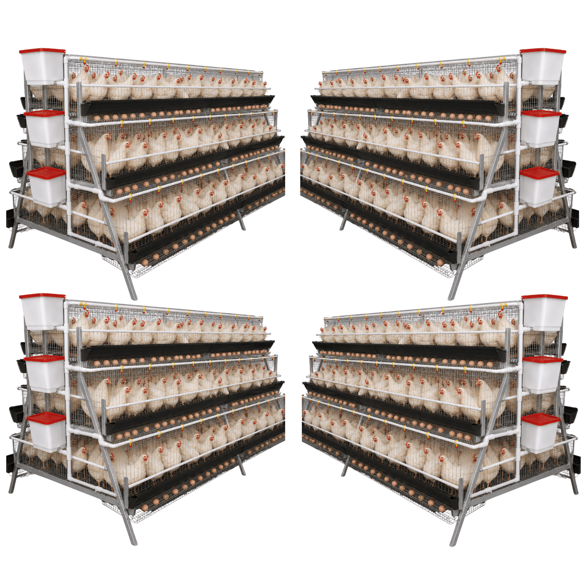 SureLay™ 768 Bird Laying Cage – Surehatch Poultry Incubators & Equipment