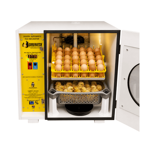 60 I-Egg Incubator and Hatcher - Fully Automatic Digital SH60 
