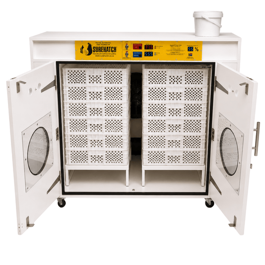 1080 Egg Hatcher - Automatic Digital Model SH1080H
