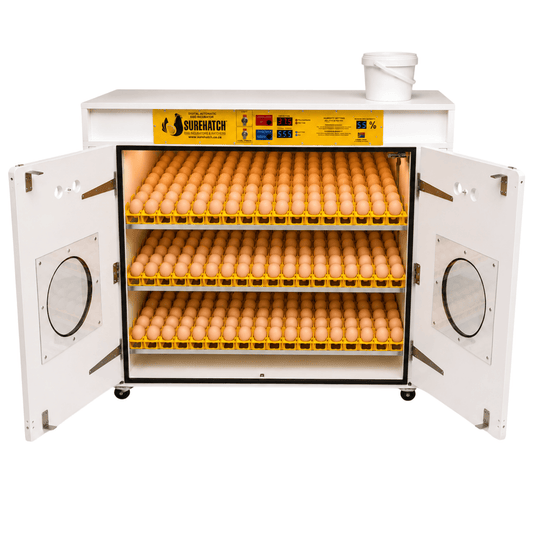 I-1080 Egg Automatic Setter Incubator - Imodeli ye-Surehatch SH1080S