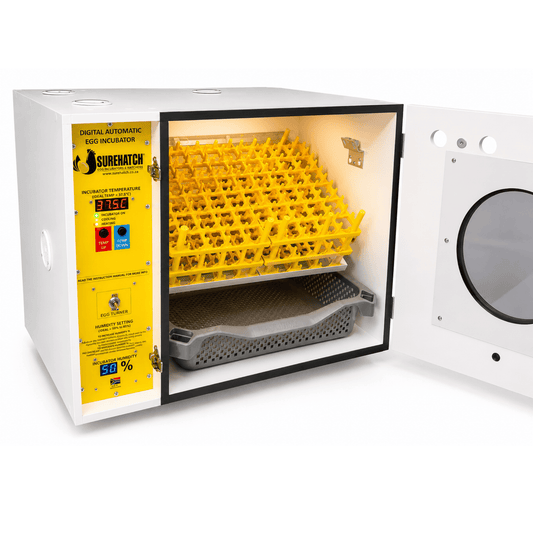 180 I-Egg Incubator ne-Hatcher - Imodeli Yedijithali Ezenzakalelayo Ezenzakalelayo SH180