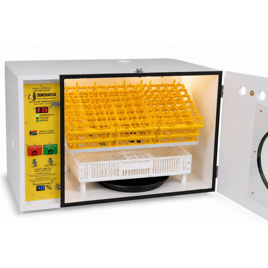 370 I-Egg Incubator ne-Hatcher - Imodeli Yedijithali Ezenzakalelayo Ezenzakalelayo SH370
