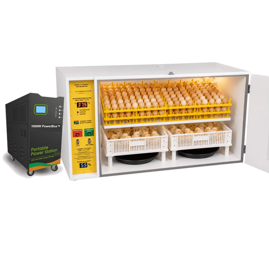 560 Egg Electricity noma Ibhethri Powered Digital Egg Incubator - SH560DP 