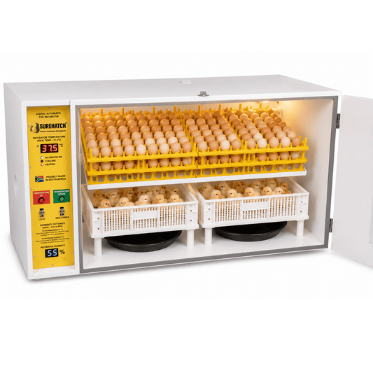 560 I-Egg Incubator ne-Hatcher - Imodeli Yedijithali Ezenzakalelayo Ephelele SH560