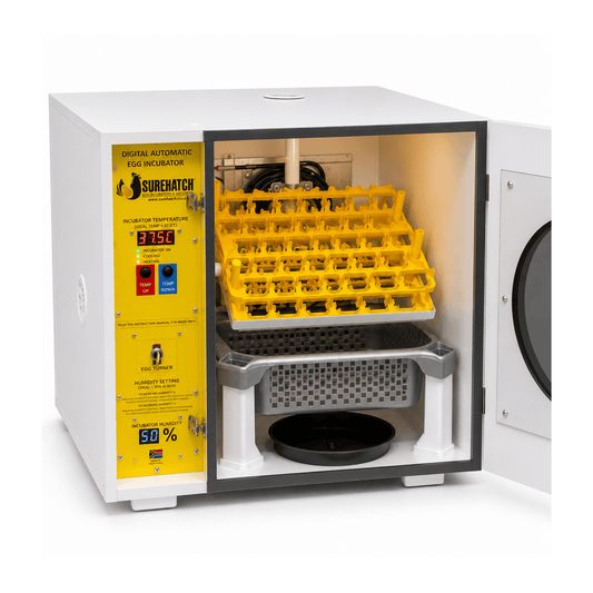 60 I-Egg Incubator and Hatcher - Fully Automatic Digital SH60 