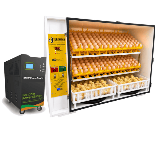 680 Egg Electricity noma Ibhethri Powered Digital Egg Incubator - SH680DP 