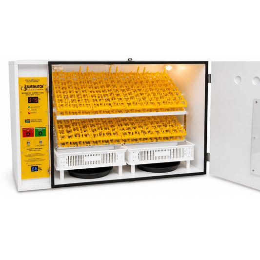 680 I-Egg Incubator ne-Hatcher - Imodeli Yedijithali Ezenzakalelayo Ephelele SH680