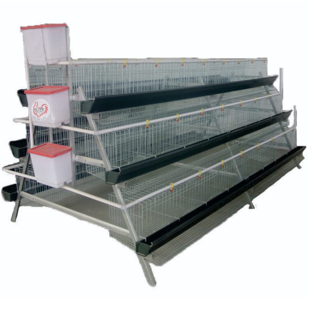 Layer Cage for 192 birds