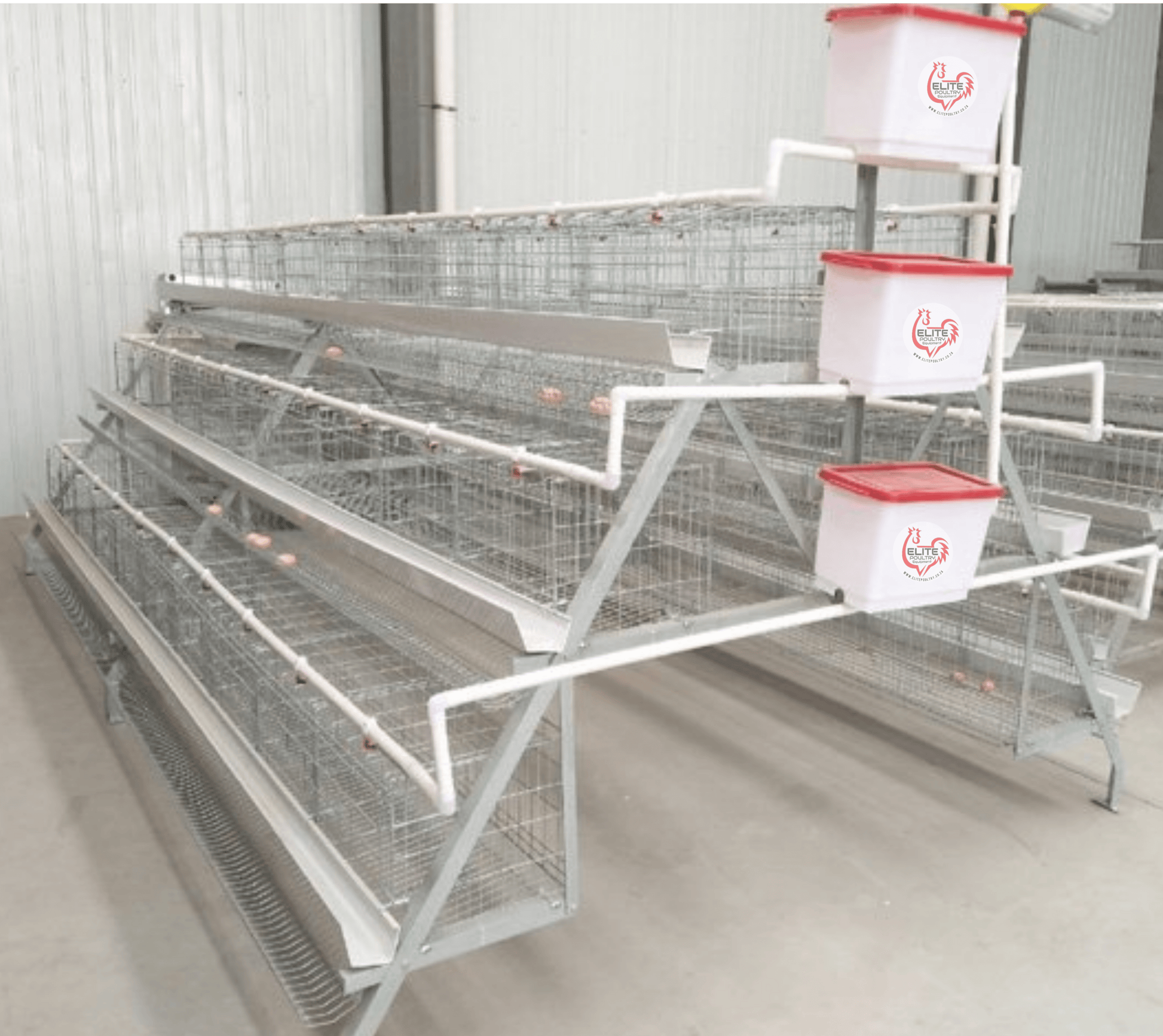 240 Bird Commercial Laying Cage for sale