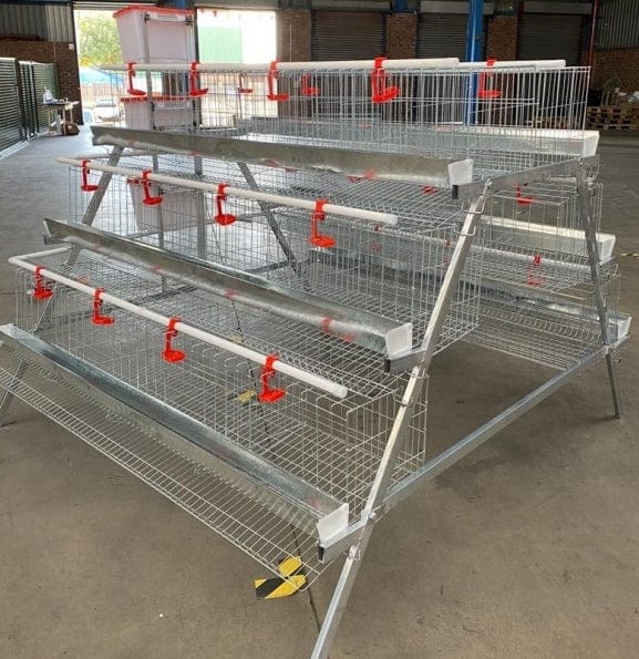 Laying Cage for 96 Birds - Elite Poultry Equipment – Surehatch Egg