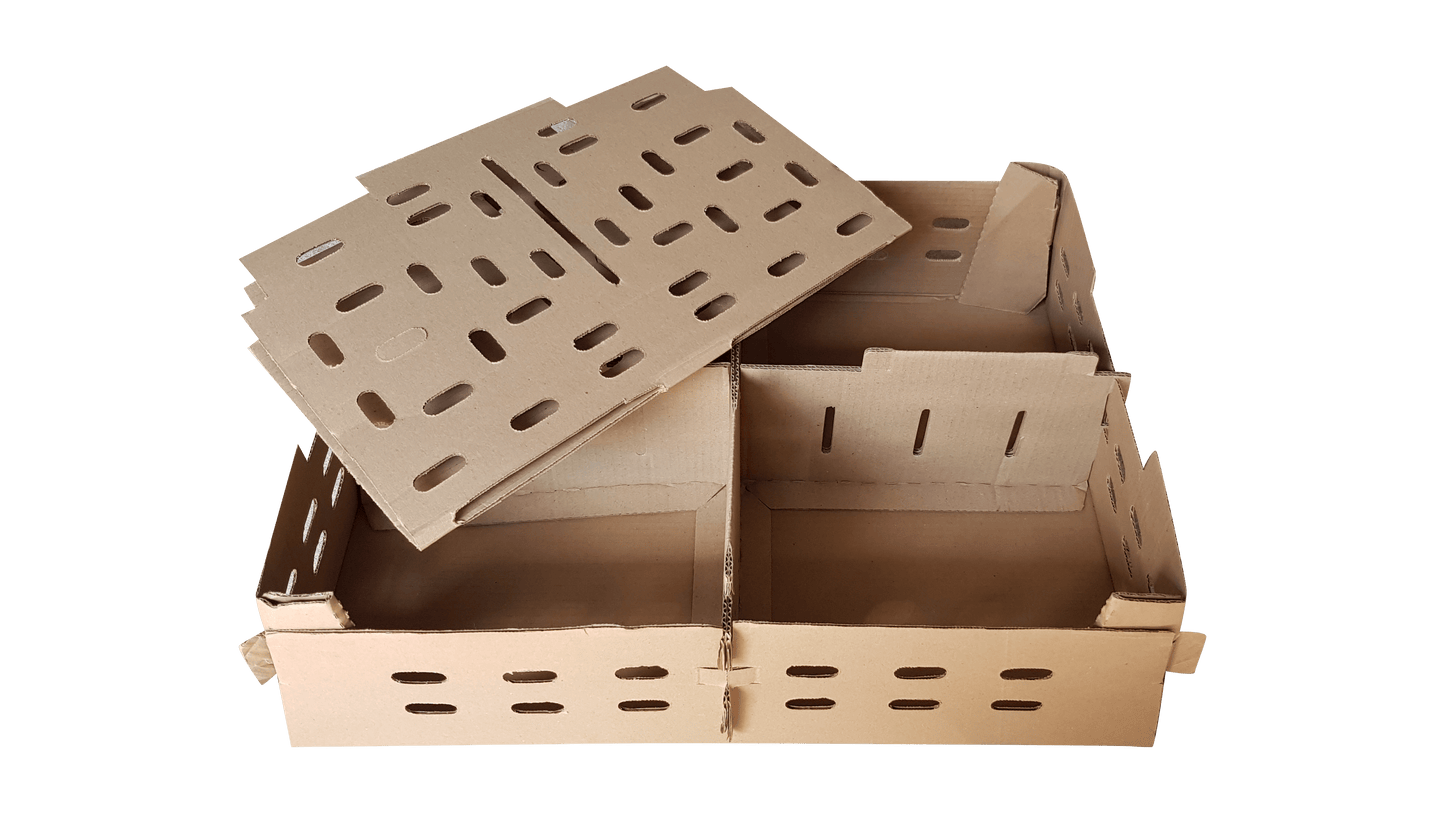 Chick Transport Box Carton