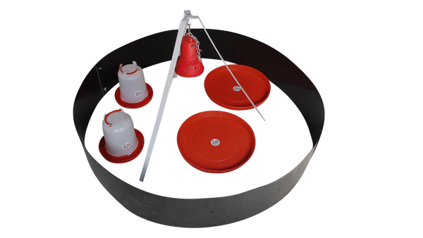 100 Chick Brooder - Infrared Electric Brooder