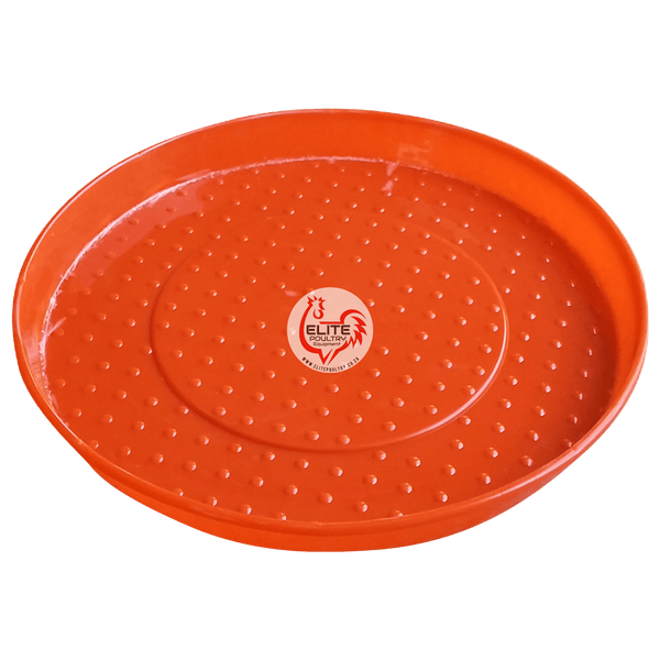 Scratch Feeder Pan - Elite Poultry
