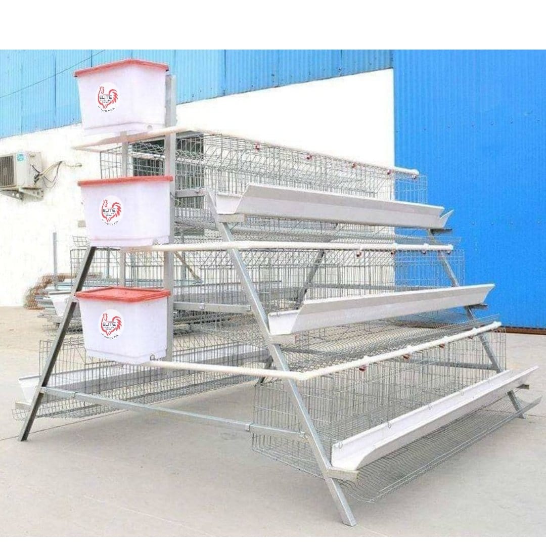 Elite 120 bird poultry laying cage