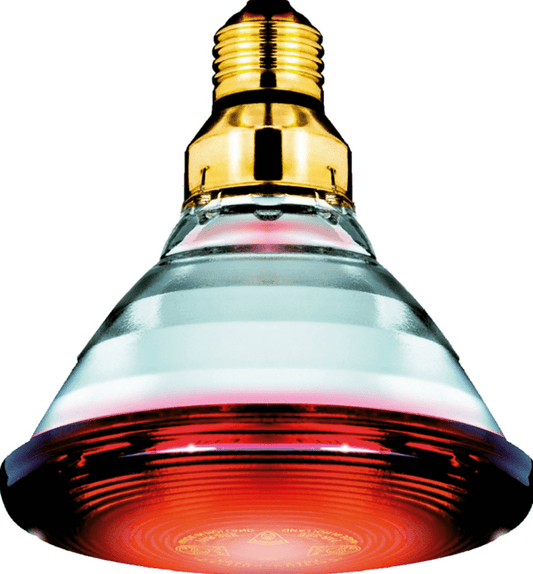 Philips Infra red heating lamp