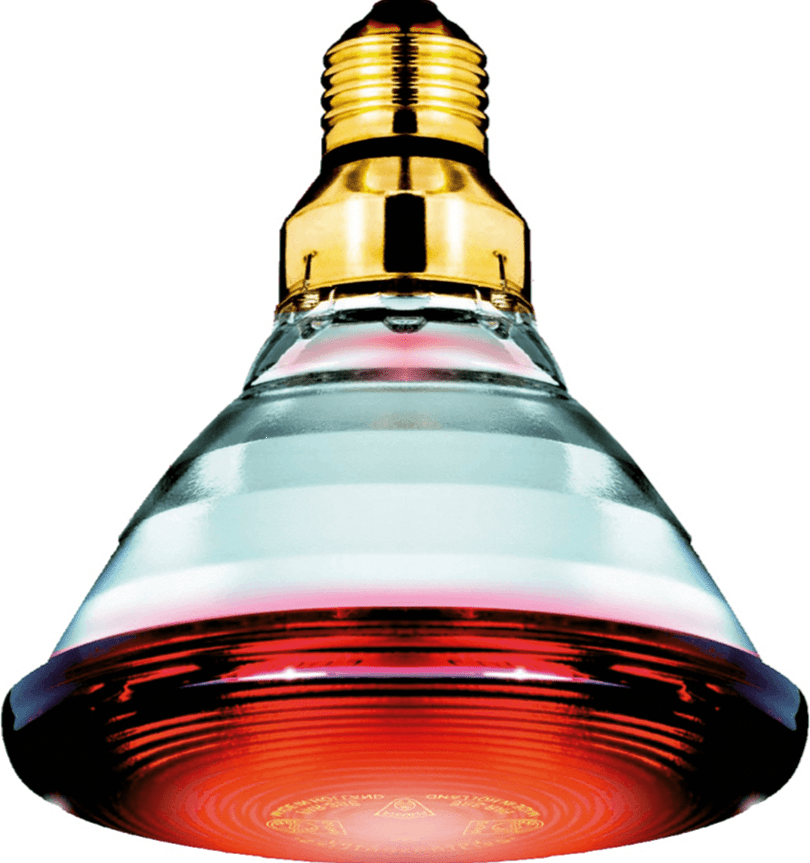Philips Infra red heating lamp 175W
