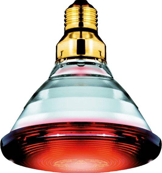 Philips Infra red heating lamp 175W