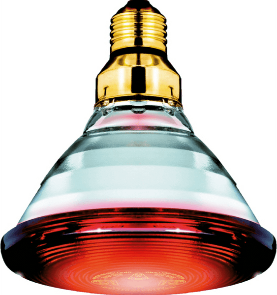 Philips Infra red heating lamp 175W