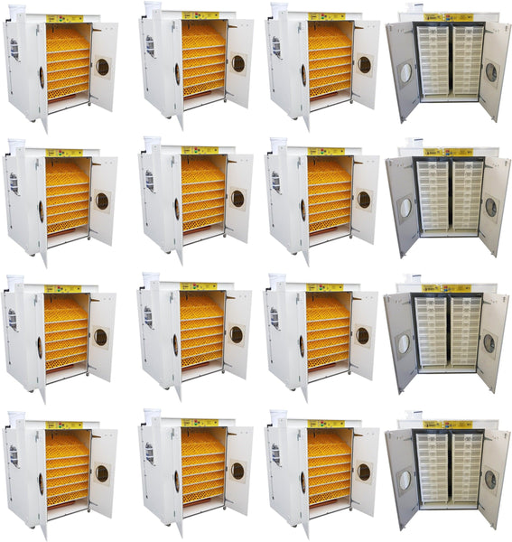 egg hatchery commercial scale