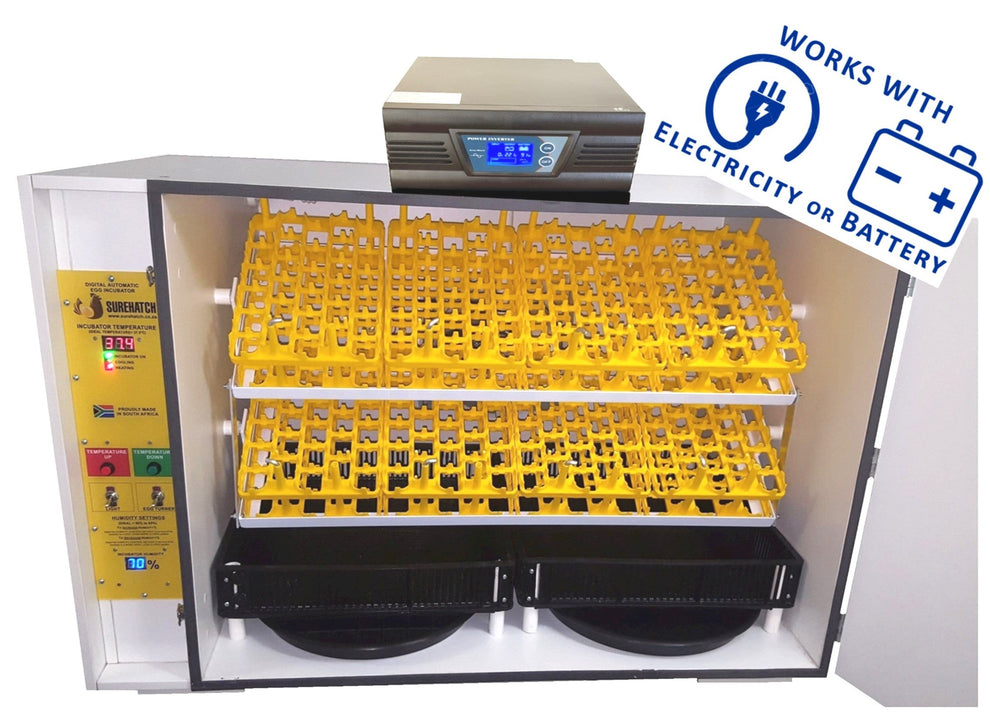 680 Egg Electricity or Battery Powered Digital Egg Incubator SH680DP