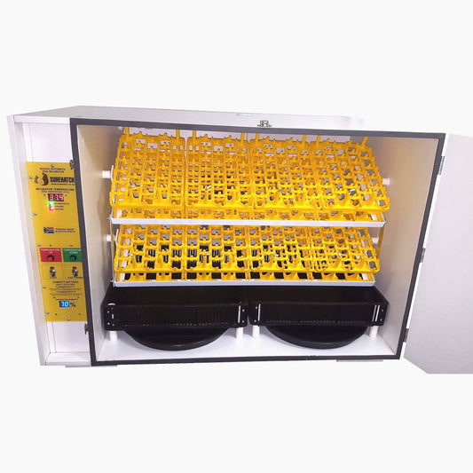Best egg incubator for sale in South Africa