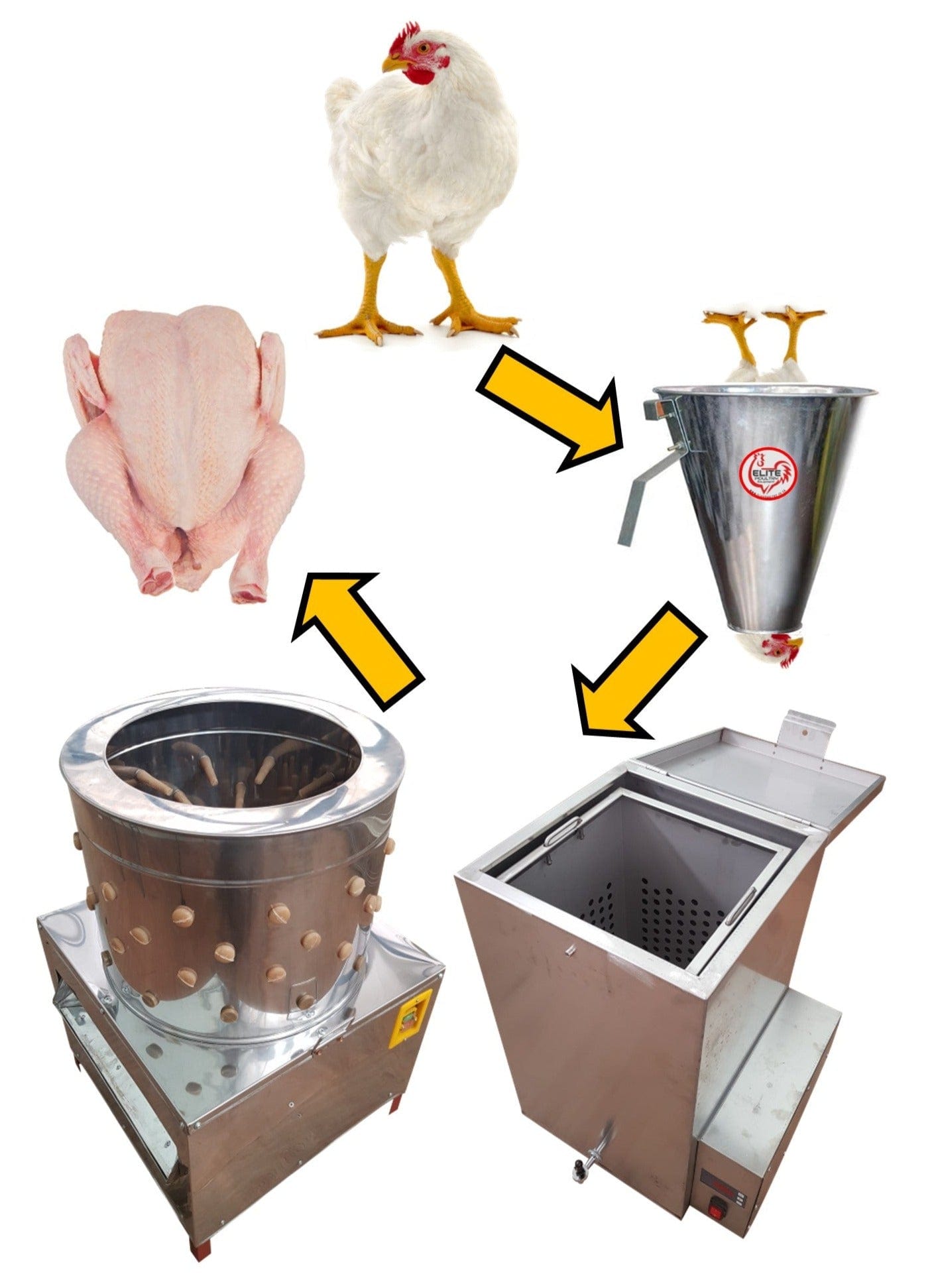 Complete poultry processing package